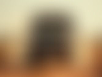 Empowering Entrepreneurs in Southern Africa: The Springbok Transport Journey