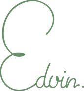 Logo_Edvin.png