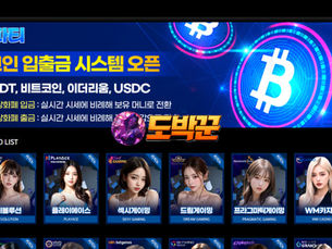 파티토지노 먹튀