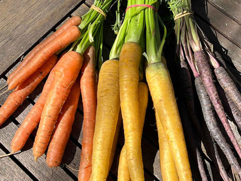 Roasted maple & tahini carrot salad