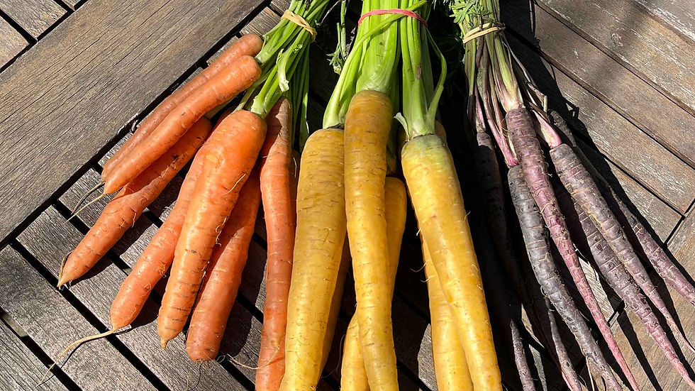 Roasted maple & tahini carrot salad