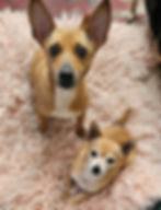 Chloe & Yam Yam-Peach Cushion_edited_edited