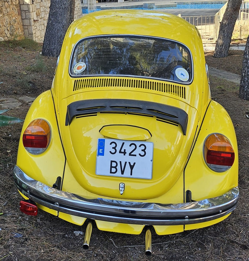 Miniatura: VW escarabajo 1303