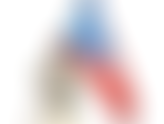 Bad Bunny, Puerto Rico and the Politics of the 2026 Super Bowl Half-Time Show