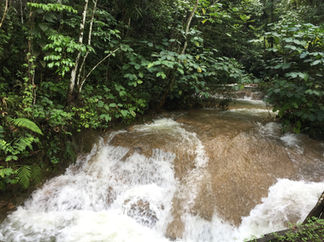 Poceta de los Enamorados, Cuba