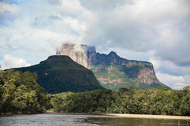 nature-7278858_1280.jpg