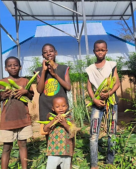 Community Youth Geting Corn for Family.jpeg
