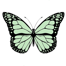 Green monarch butterfly .png