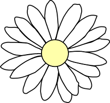 white daisy.png