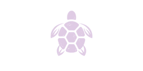 purple turtle no outline.webp