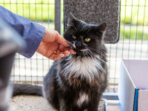 Example blog post News