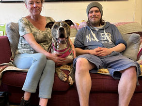 Tess - Adoption success