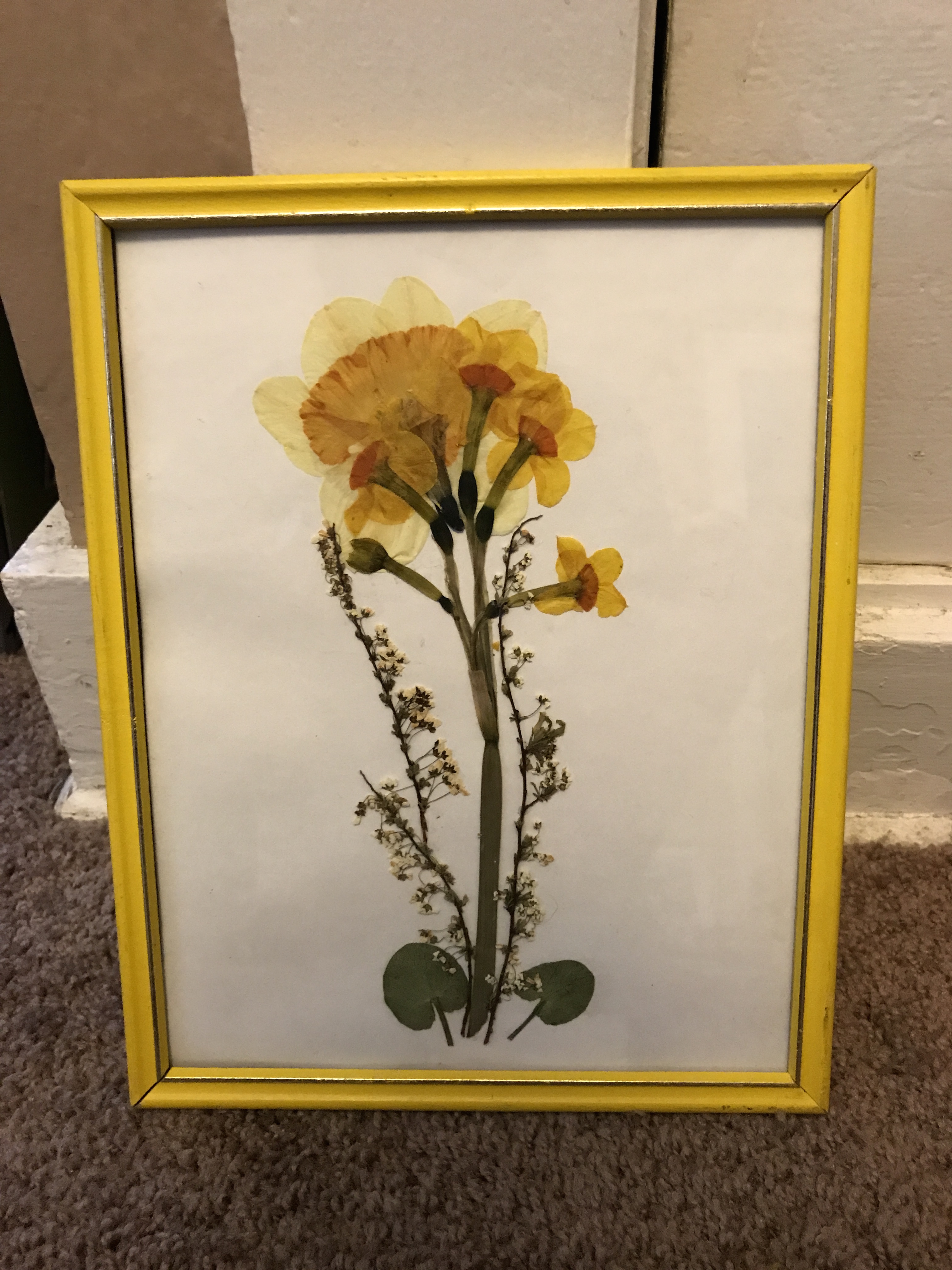 Tulips_pressedflowerart