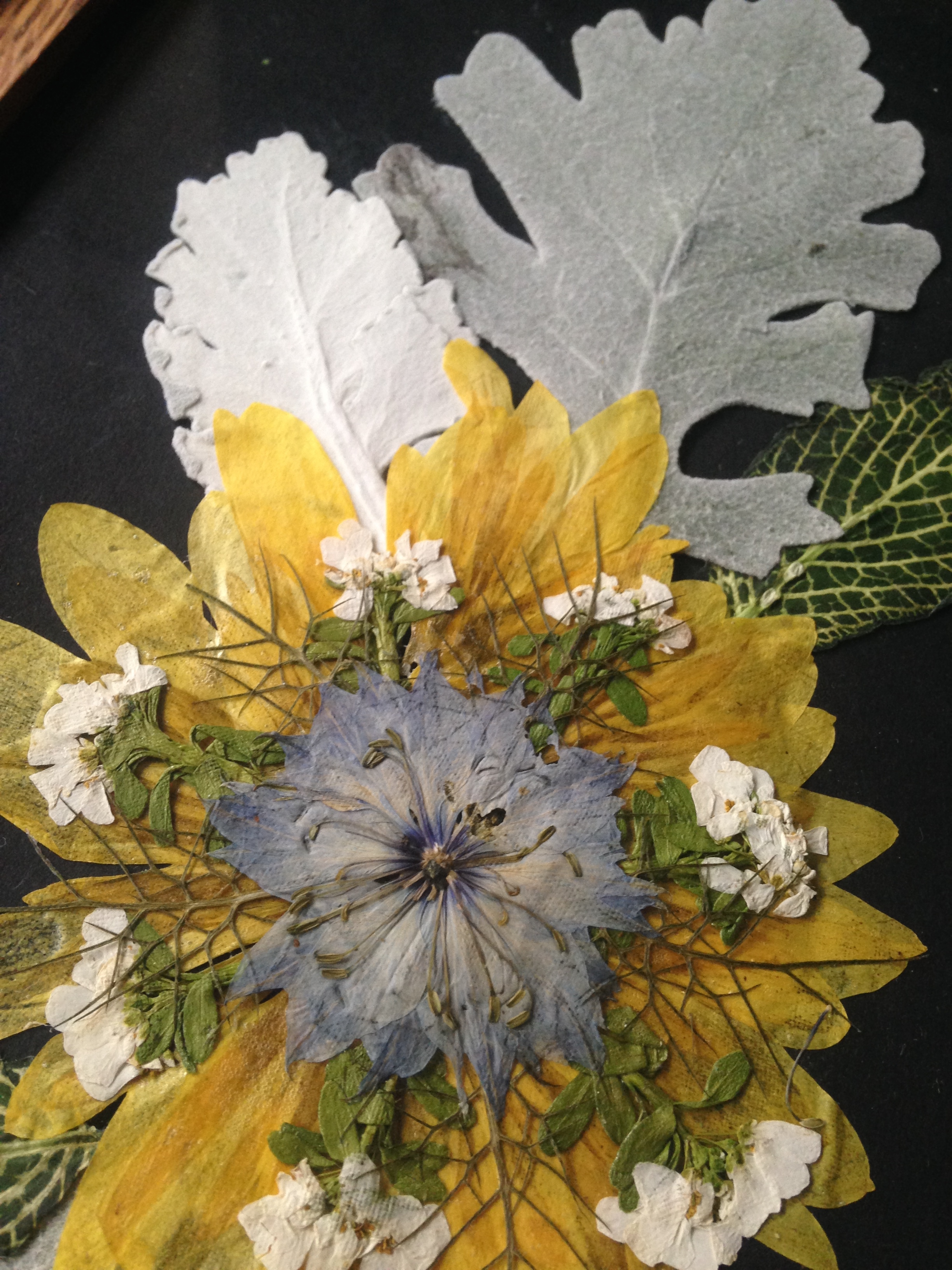pressed flower art