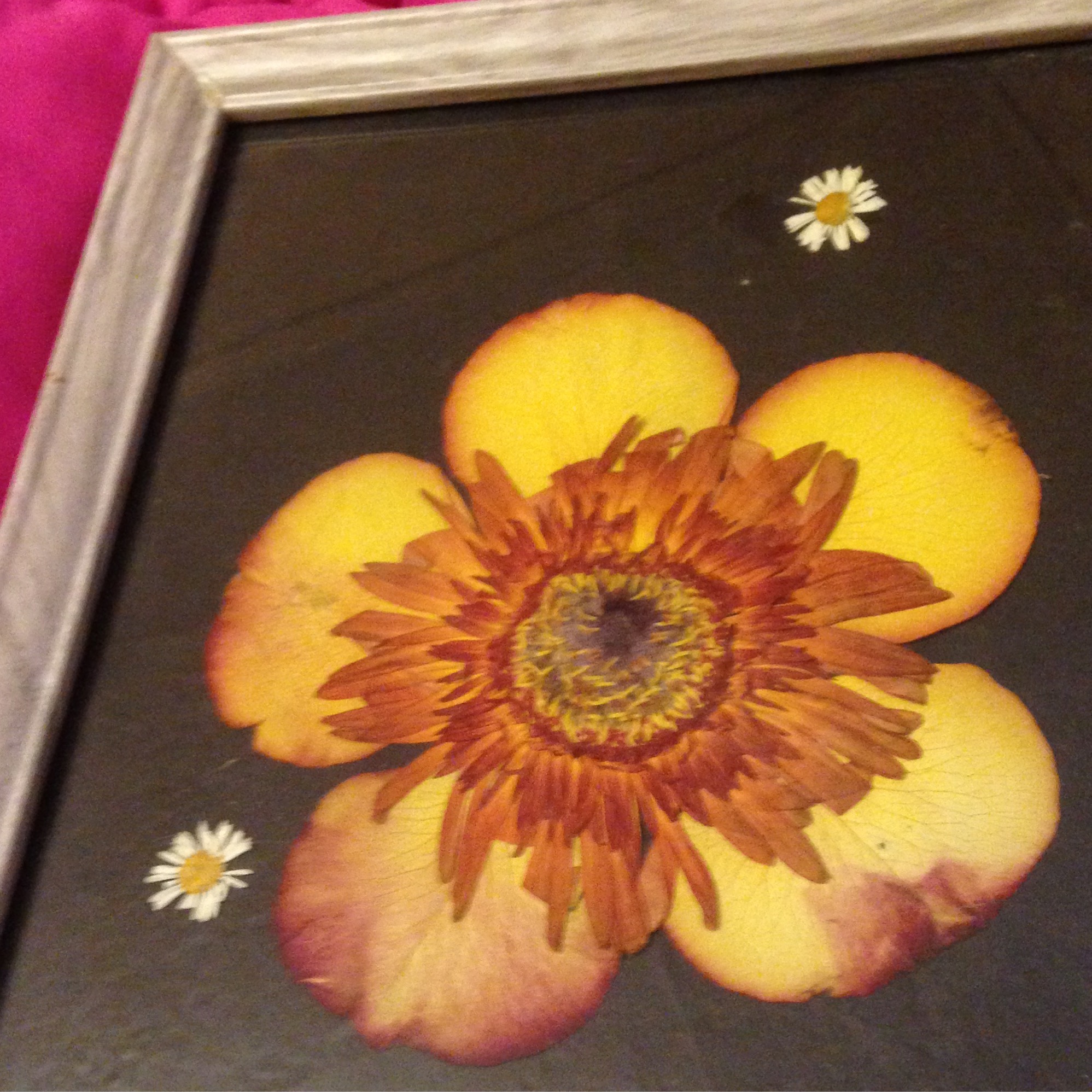 sunburst pressed flower art