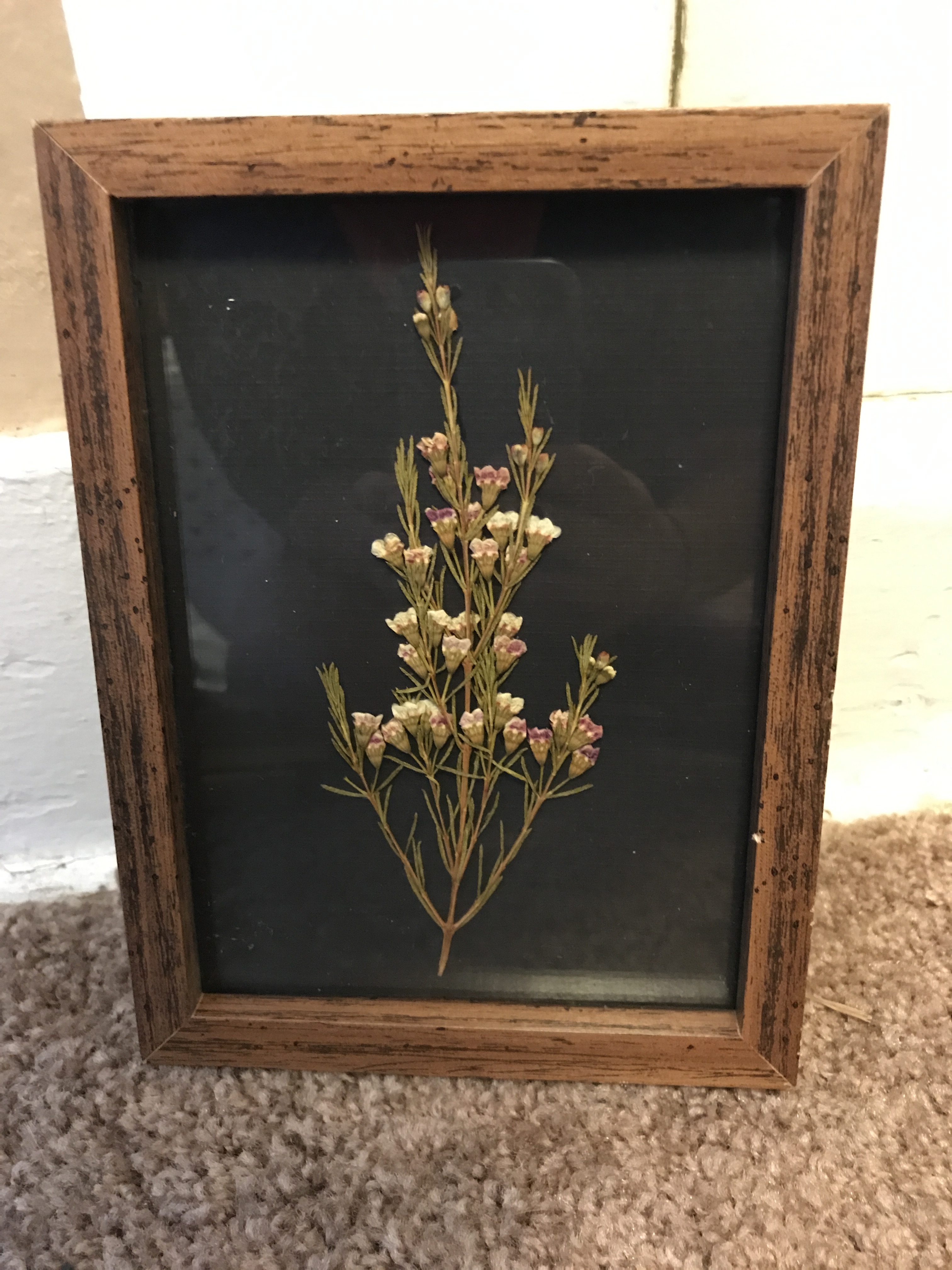 Aug2017_pressedflowerart
