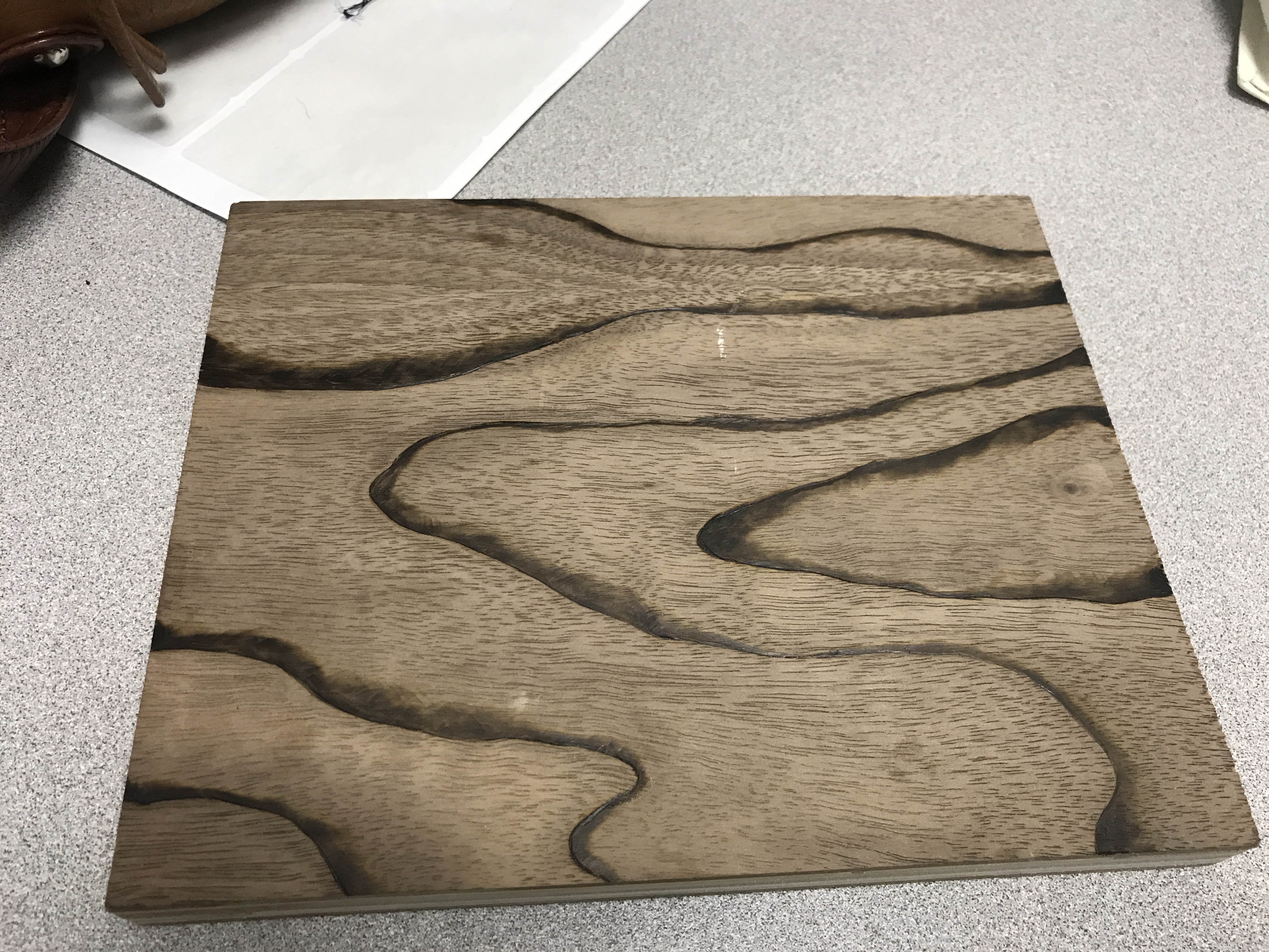 zebra woodburning