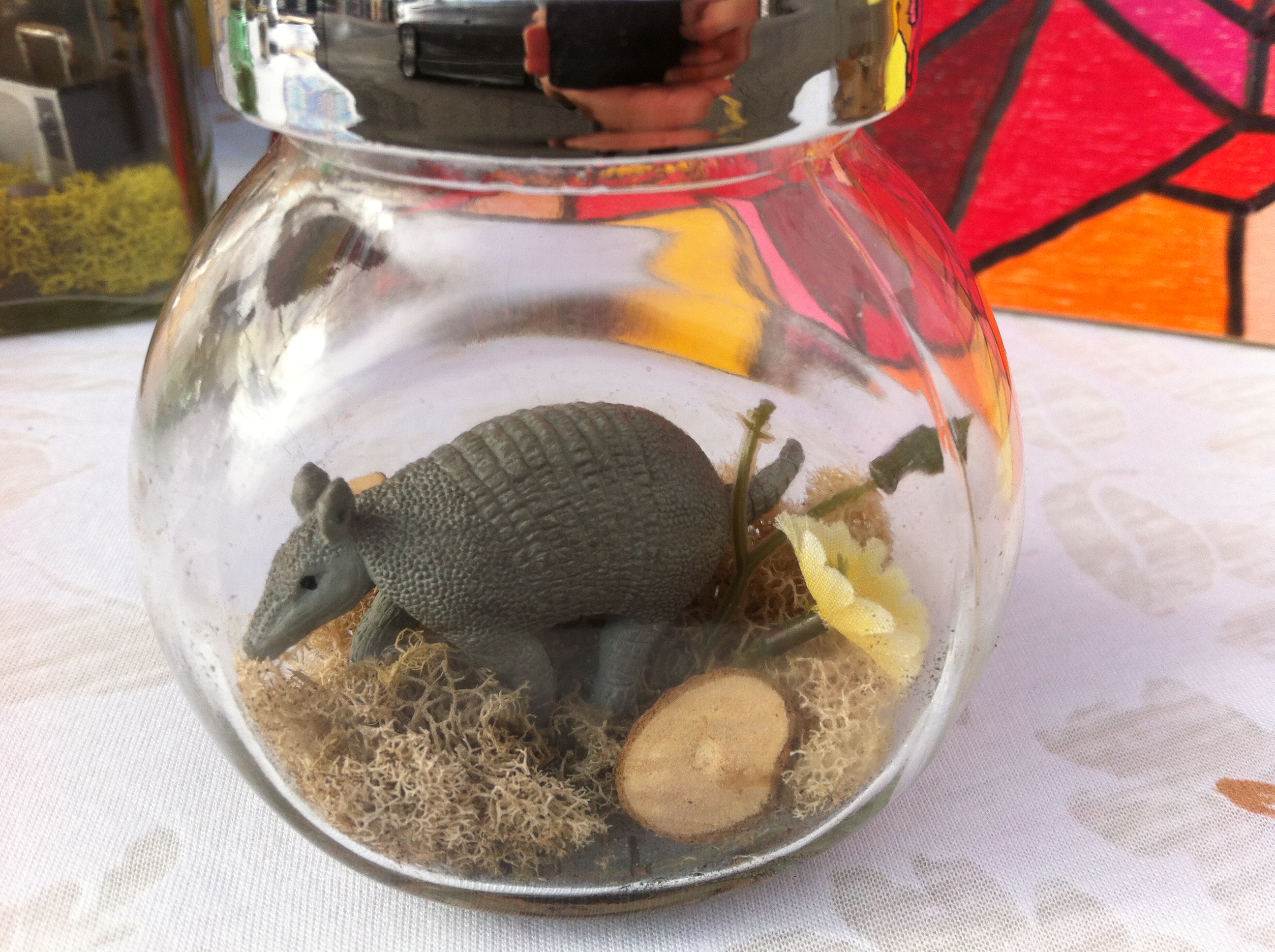 armadillo miniature