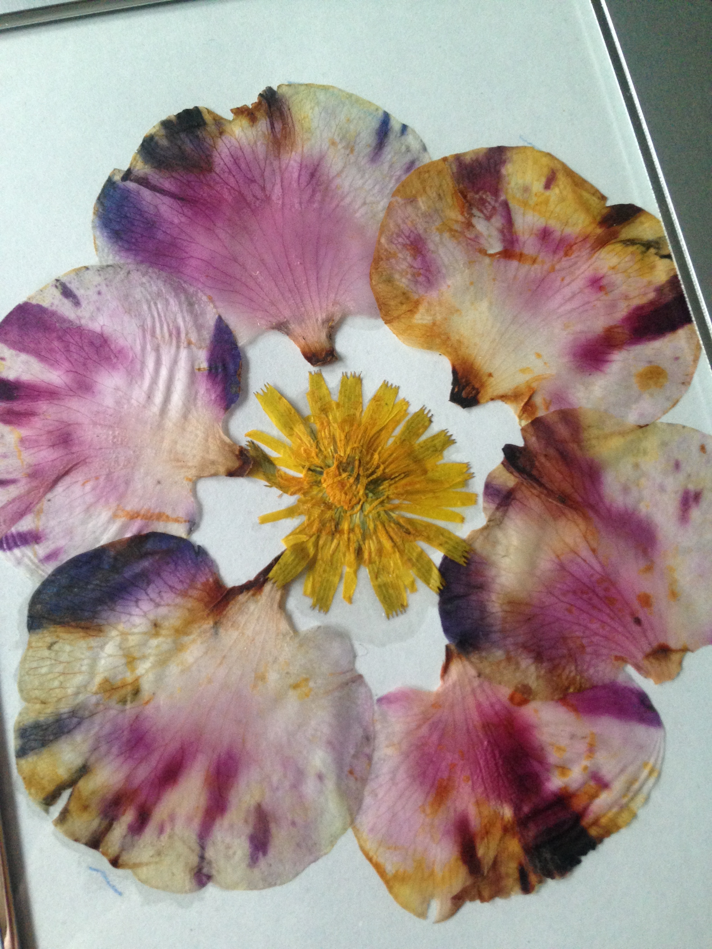tiedye petals flower art