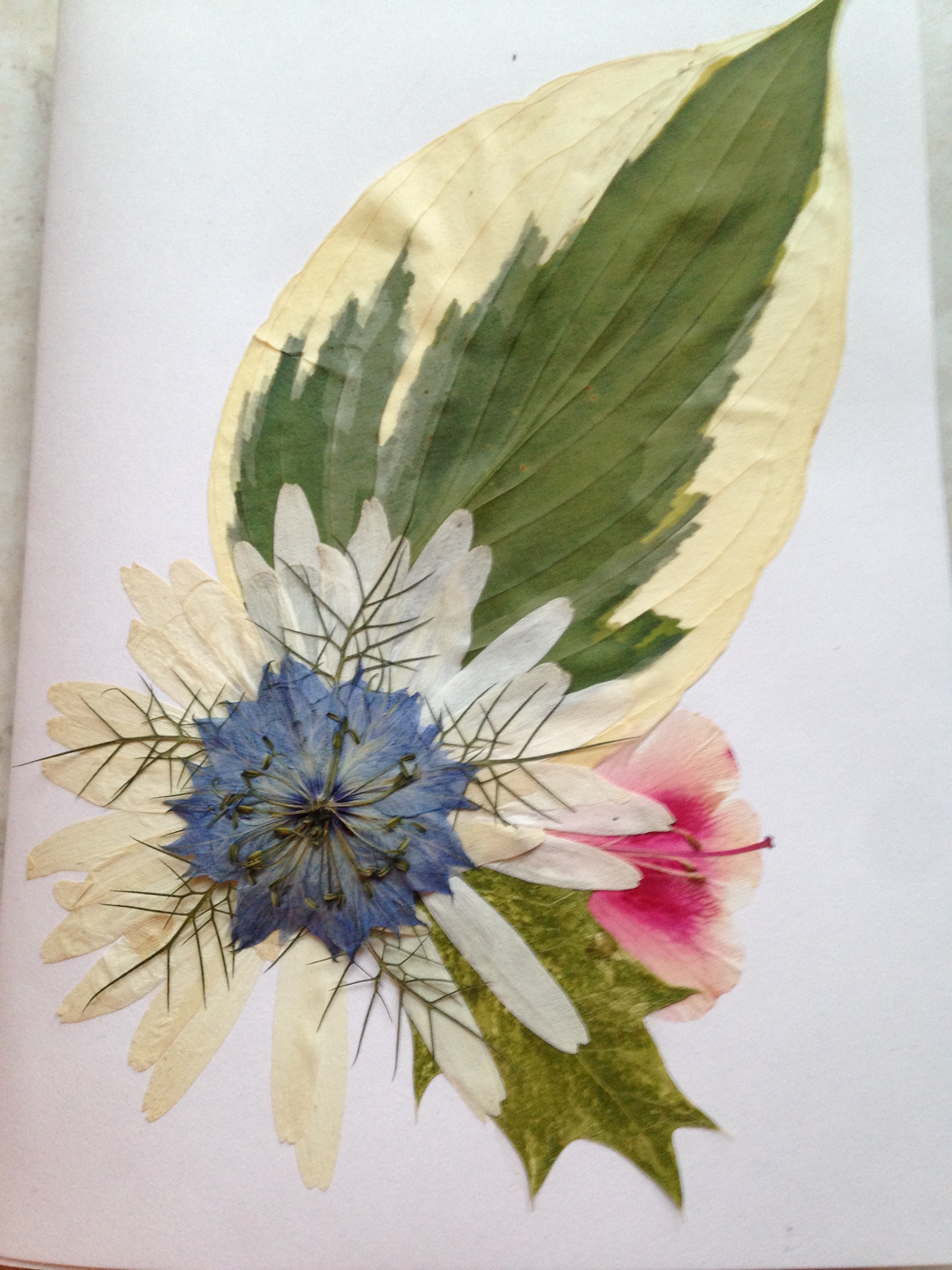pressed flowerart