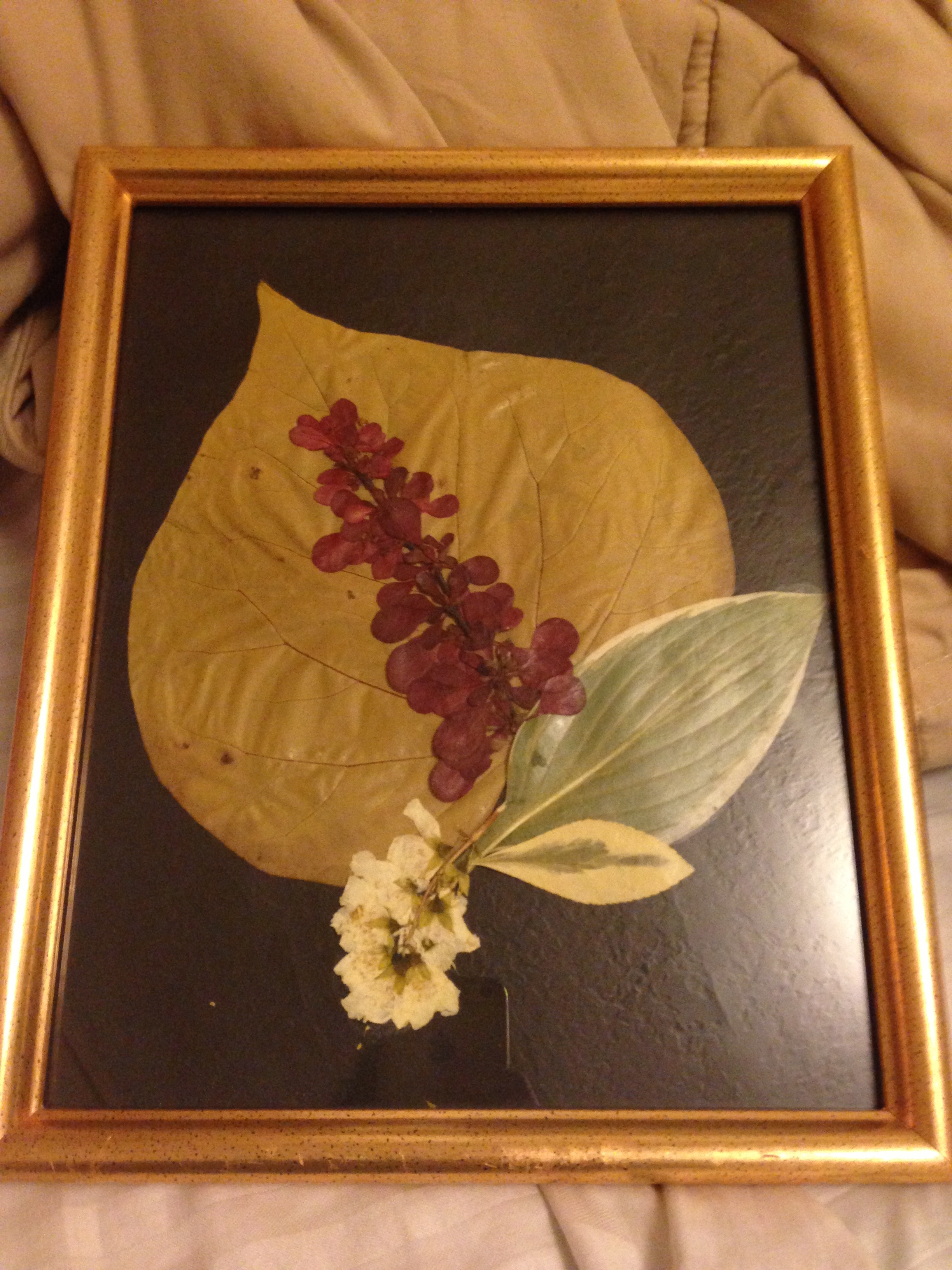 Autumn pressed flowerart
