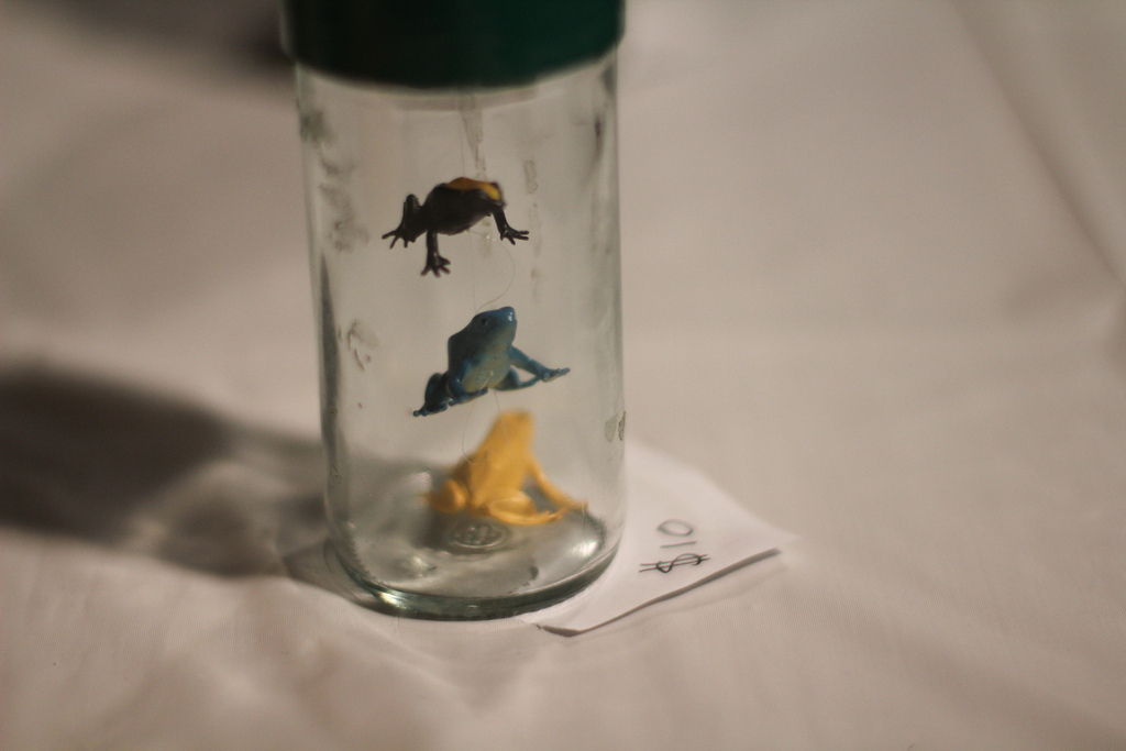 leap frog miniature