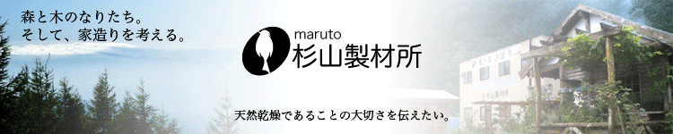 toptop.gif