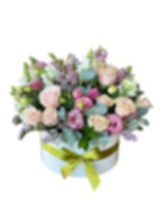Pastel Serenity Box