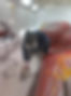 received_1164702647204249.jpeg
