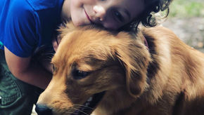 deBotech's Carbon Fiber Prosthetics Provided a "Golden" Opportunity for This Pup