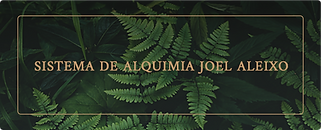 bt_sistema_de_alquimia_floral_final.png