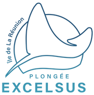 Logo Excelsus Transparant
