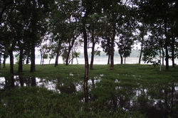 12-07_Huê rive inondée