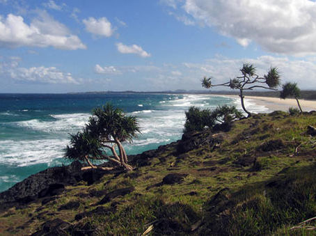 Commercial Painters at Fingal Head, New South Wales