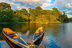 imagen de portada.jpg