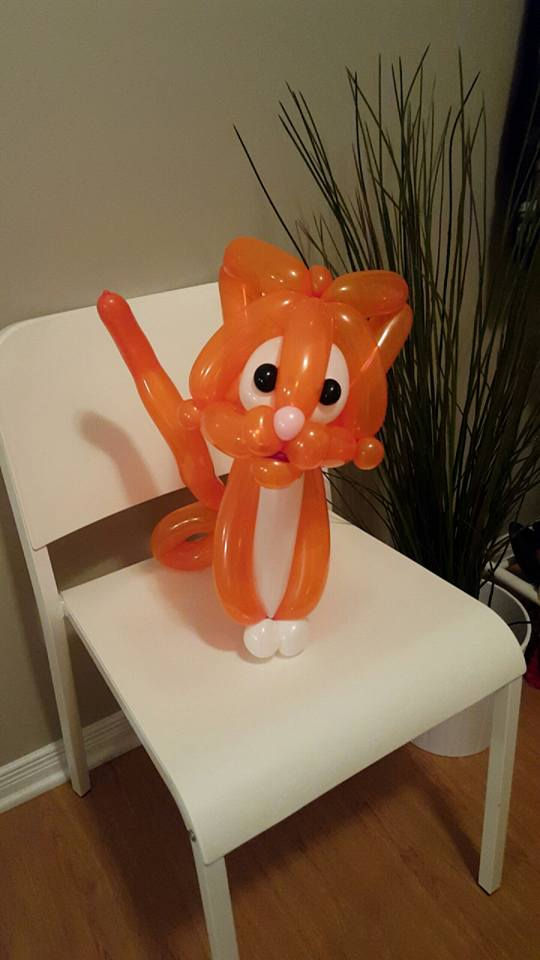 Cat