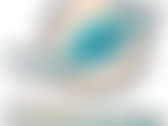 Miami Dolphins
