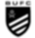 Bexhill United FC