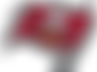 Tampa Bay Buccaneers
