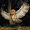 Thumbnail: Tawny owl "closing in"