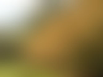 Look a little closer ...