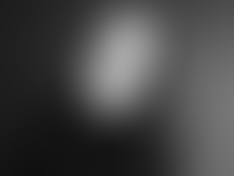 Artist Spotlight: Christi Belcourt