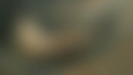 The Birchbark Canoe: An Engineering Marvel of the Northern Forests