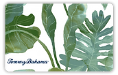 Tommy Bahama.png