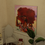 Thumbnail: random paintings iv