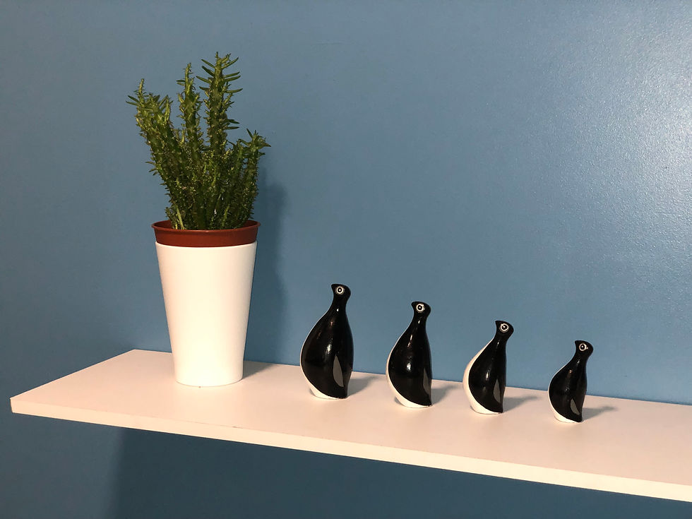 Miniature : Famille de Manchots