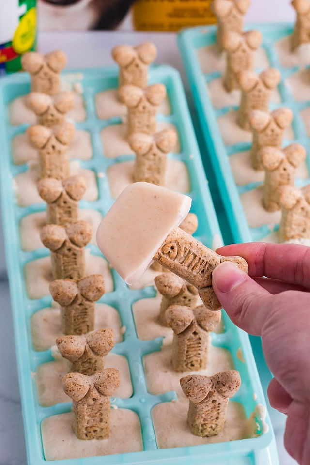 A hand holds a frozen dog treat shaped like a popsicle with a milk bone used as the stick. The treats are neatly lined in a light blue silicone mold, ready for distribution.