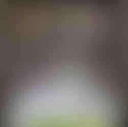 A sleek gray shelf holds large glass jars of dog treats and toys. Below, a white tub is filled with bright green tennis balls, with a small sink built into the unit.