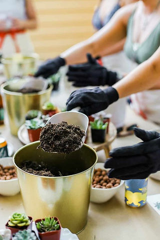 People wearing black gloves potting succulents at a DIY planting station. A scoop of soil is being added to a gold pot, surrounded by small succulent plants and bowls of pebbles—perfect for a hands-on resident event.