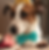 A Jack Russell Terrier wearing a sparkly turquoise bow tie and a small gold party hat, resting its paws on a wooden surface. The dog gazes attentively at something in front of it, with a blurred background adding a warm, celebratory atmosphere.